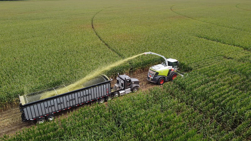 Corn harvester