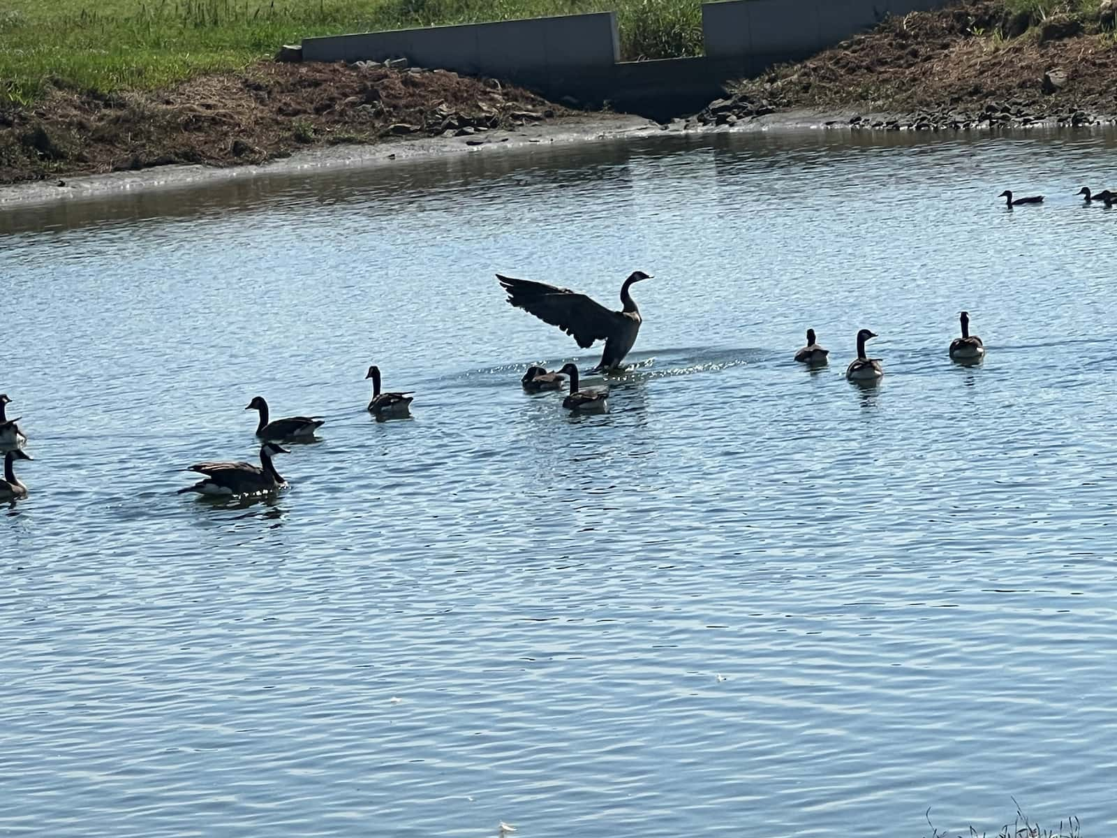 Over flow pond